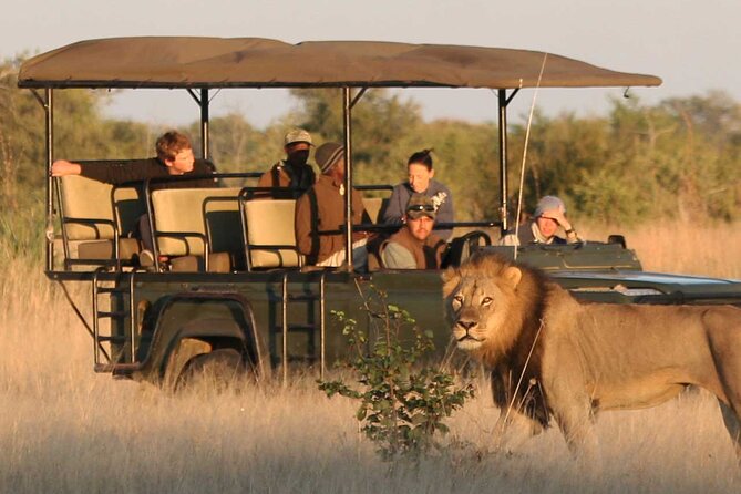 Zambezi National Park AM or PM Game Drive - Pickup, group size, and practical planning