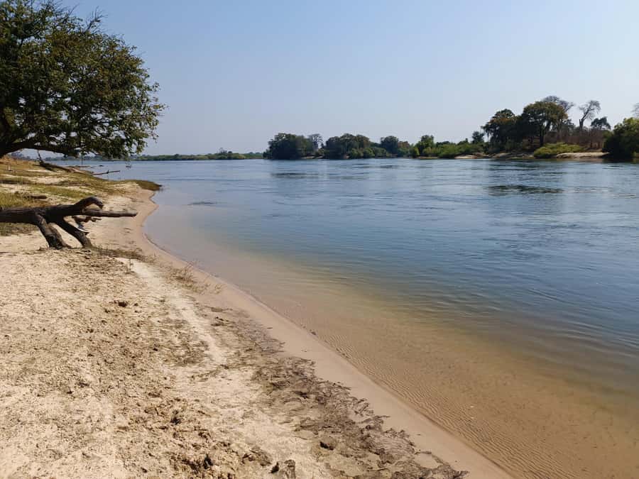 Zambezi National Park Private Wildlife Safari (4 - 10 hours) - Who should book this safari?