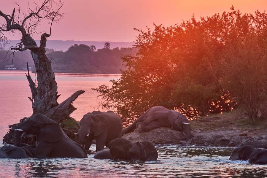 Zambezi River: Dinner Cruise - Setting out on the Zambezi near Victoria Falls