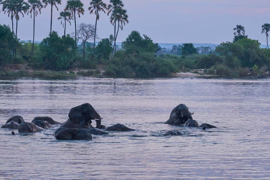 Zambezi River: Dinner Cruise - Sunset views from the open-air deck