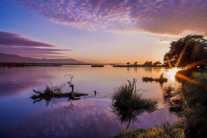 Zambezi River Standard Sunset Cruise - Drinks and snacks included in the $70 price