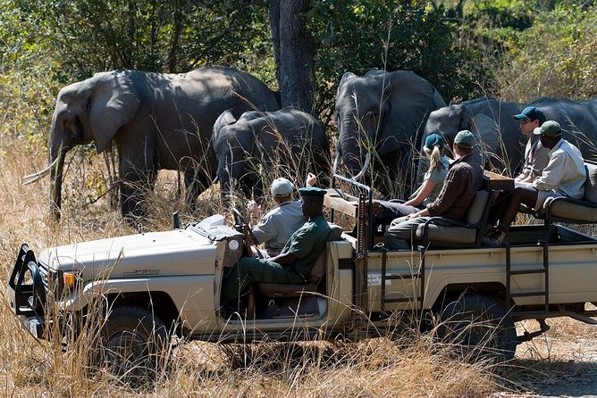 Zambezi Sunset Cruise + Game Drive Safari with hotel Pick Up - Why This Combination Works in Victoria Falls