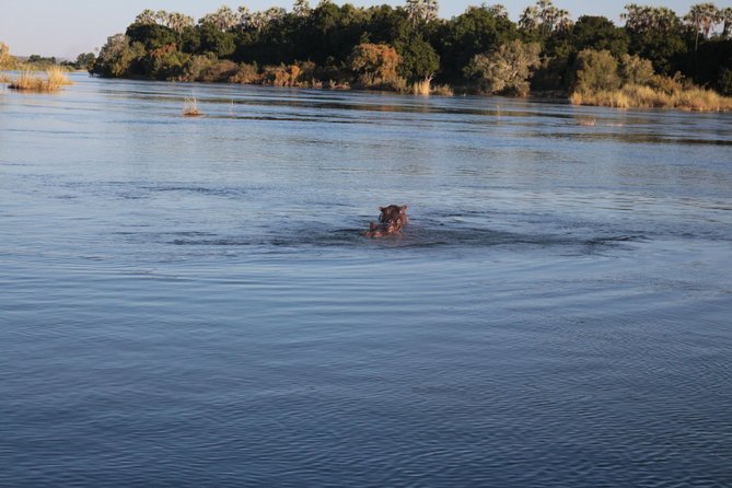 Zambezi Sunset Cruise – Wildlife, Drinks & Breathtaking Views - Is the $49 price good value?
