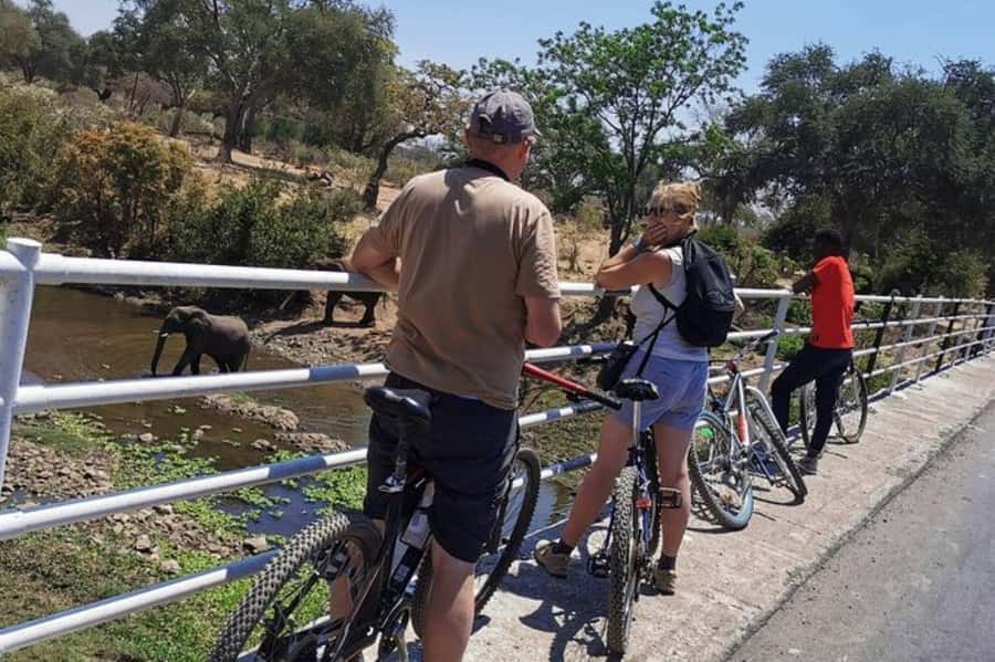 Zambia : Victoria Falls : Nature Bike Tour - Key points to know before you book